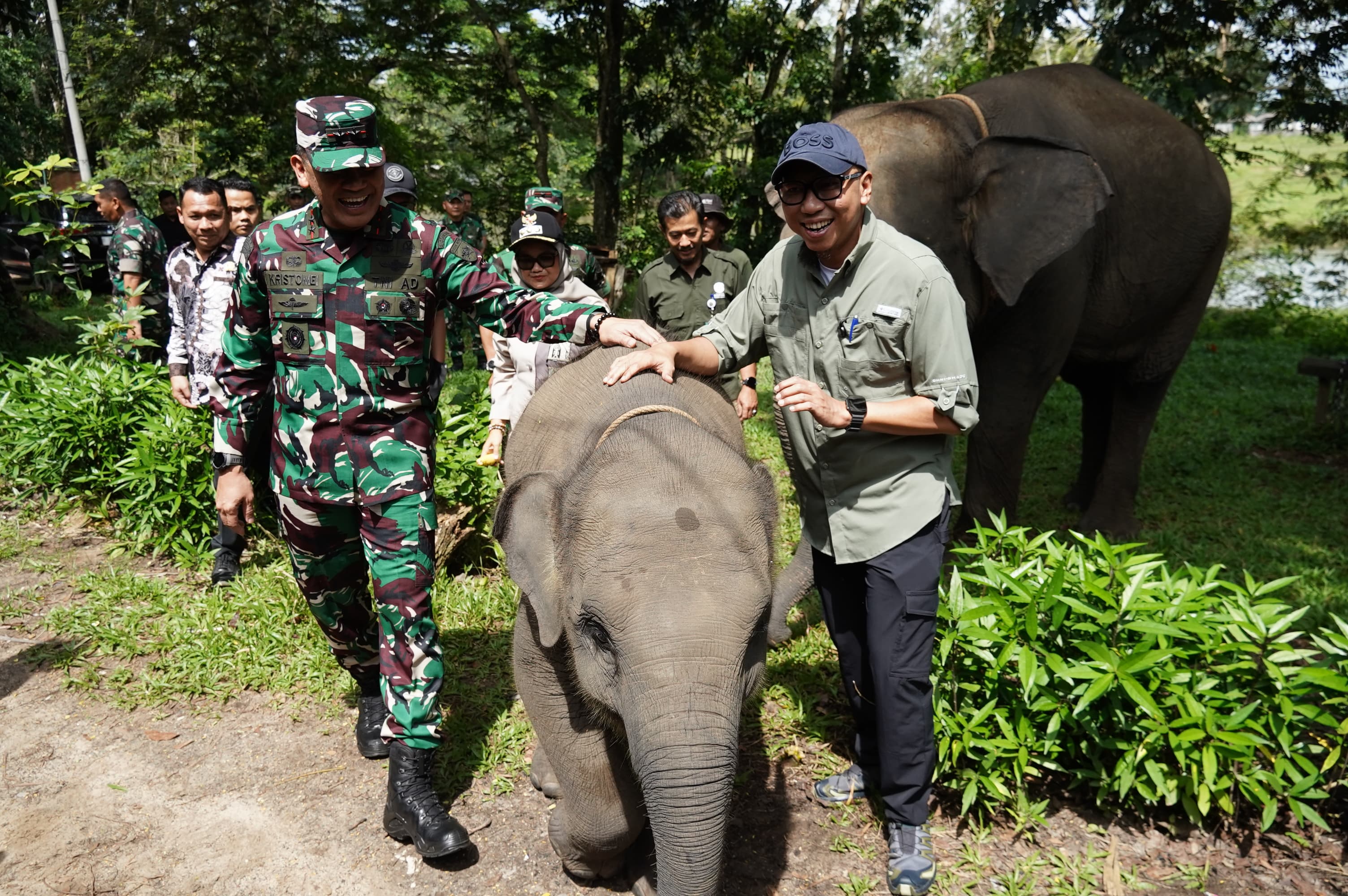Gubernur Lampung Dorong Penanganan Terpadu Konflik Gajah-Manusia di Way Kambas